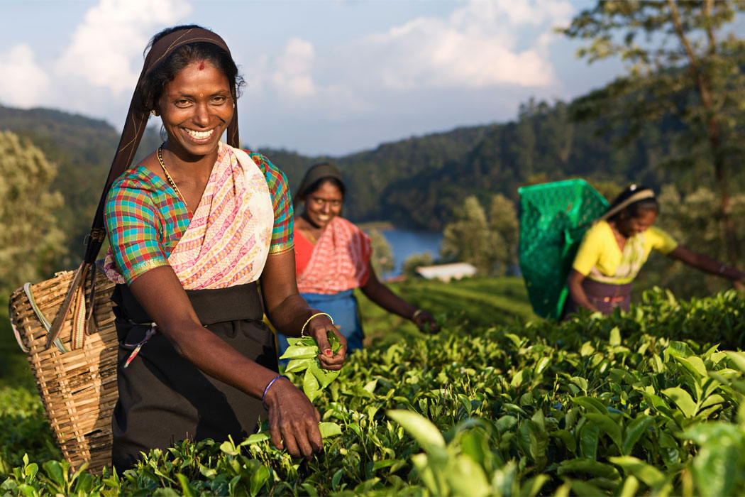 Sri Lanka Wakacje 